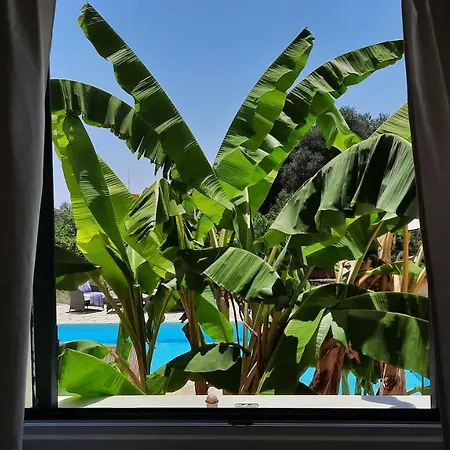 Villa Alekos Houses-mitis